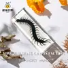 Especímenes de Insectos Artesanales Jingling: Escarabajo, Escorpión, Mantis, Araña - Educación en Ciencias Biológicas, Regalos de Nicho, Adornos de Resina