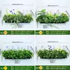 Caja de flores de hierro forjado para exteriores personalizada, caja de luz, canaleta para flores para asientos exteriores de restaurante y tienda de té con leche, mampara, macizo de flores para exteriores