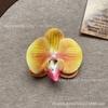 Cabeza de Flor de Phalaenopsis de Película Artificial Impresa en 3D Horquilla para el Cabello de Celebridad de Internet Souvenir de Boda Caja de Dulces de Boda Flores Falsas Decoradas a Mano
