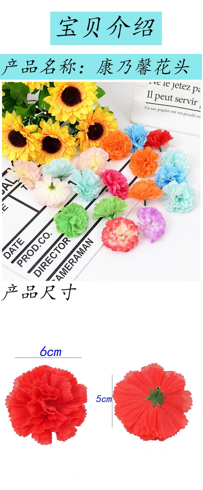 康乃馨花头_01.jpg