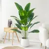 Planta Verde Simulada Más Vendida Transfronteriza Hojas de Plátano Plátano Viajero Decoración del Hogar Accesorios para Fotografía de Bodas
