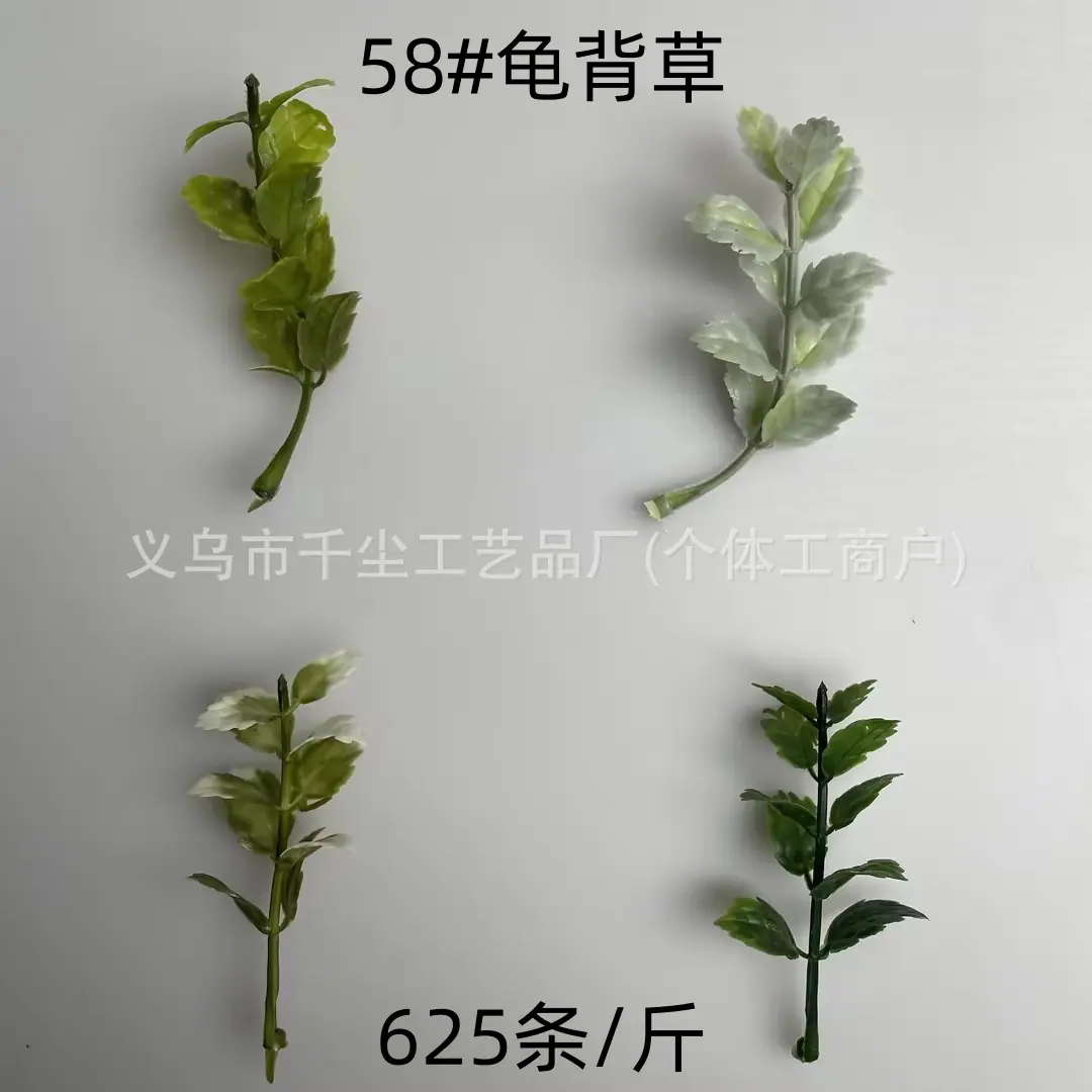 58#龟背草.jpg