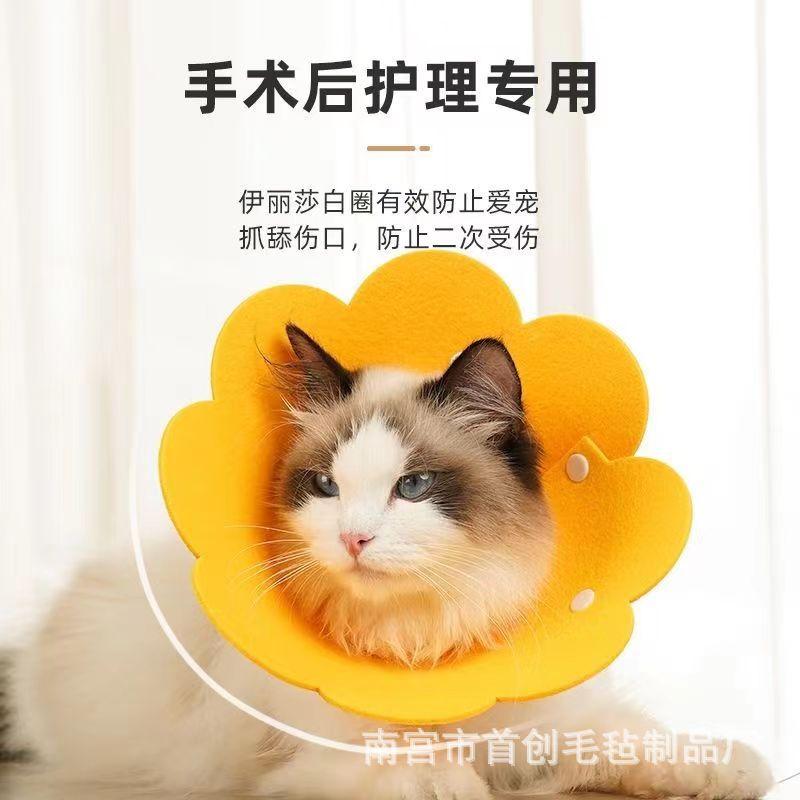 微信图片_20230725101656