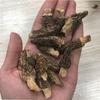 Morchella atacado morchella de Yunnan produtos secos atacado origem fornecimento uma geração de cabelo