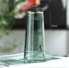 Vaso de Pintura Dourada Celebridade da Internet Vidro Transparente Sala de Estar Ornamentos de Flores Decorativos Criativo Simples Nórdico Flor de Água Arranjo