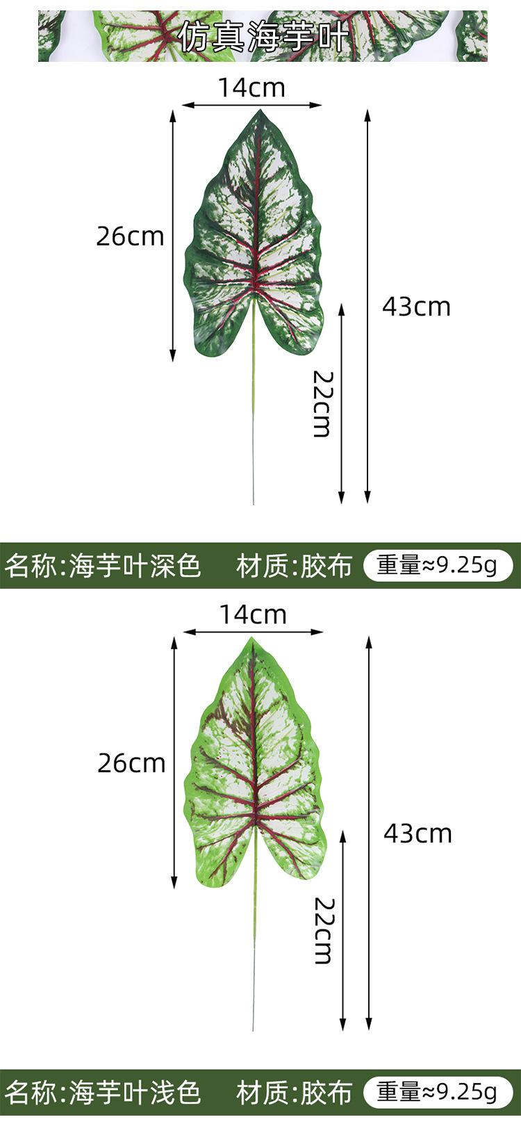 耀源海芋叶详情页_02.jpg