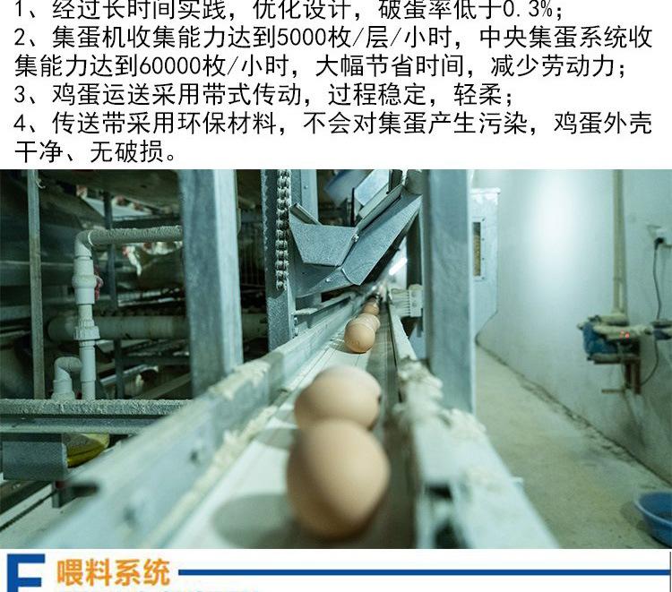 u=2816657371,1956130068&fm