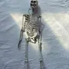 Esqueleto Popular Transfronteiriço de Halloween 170cm Esqueleto Suportável Adereço para Salas de Fuga, Casas Assombradas e Decorações de Halloween