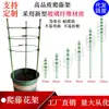 Soporte para Flores, Soporte para Rosas, Maceta, Barra de Soporte para Flores de Interior, Soporte para Plantas Verdes de Jardinería, Rejilla para Plantas Trepadoras, Planta Verde para Sala de Estar