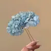 Presilhas laterais de alta qualidade estilo coreano, presilhas de cabelo versáteis para meninas, presilhas para franja de alta aparência estilo ins, presilhas de cabelo, grampos de cabelo
