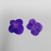 Hortensia Pétalo Redondo Flores Secas Fabricante Marcapáginas de Flores Prensadas Especímenes de Plantas para Estudiantes Accesorios de Joyería DIY Hechos a Mano Transfronterizos