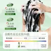 Shampoo Perfumado com Aroma de Folha de Cipreste Bai Zhen Tang Limpeza Profunda Suavizante Hidratação Capilar Fragrância de Longa Duração Shampoo Atacado