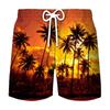Pantalones de playa deportivos de ocio para hombre, venta al por mayor, impresión digital 3D, para vacaciones de verano en la playa, 2023