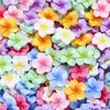 Acessórios de Resina Planos de Flor de Cinco Pétalas de Cor Sólida Cristalinos para Capas de Celular, Grampos de Cabelo, Decorações DIY, Ímãs de Geladeira, Roupas e Fivelas de Sapato