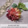 Dalia Simulada de Borde Asado de una Sola Cabeza Ramo Falso Flor de Boda Flor de Seda Artificial de Alta Gama Flor Decorativa para Sala de Estar Venta al por Mayor