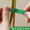 Ataduras Verdes para Plantas Resistentes al Calor, Ataduras de Velcro para Plantas, Correas Adhesivas Verdes para Sujetar Plantas