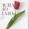 Produtos de fábrica por meio de hidratação de flores artificiais Tulipa de alta qualidade mão falsa fotografia de flores ornamentos decoração de casa atacado transfronteiriço