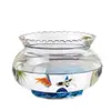 Tanque de peces redondo de cristal transparente con encaje, tanque para tortugas, peces dorados, jarrón de cristal hidropónico, mini tanque de peces ecológico con encaje
