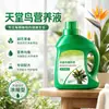 Solução Nutritiva Ave do Paraíso Tipo Universal Fertilizante para Flores Plantas em Vasos Flores Hidropônicas Plantas Verdes Fertilizante Quarto