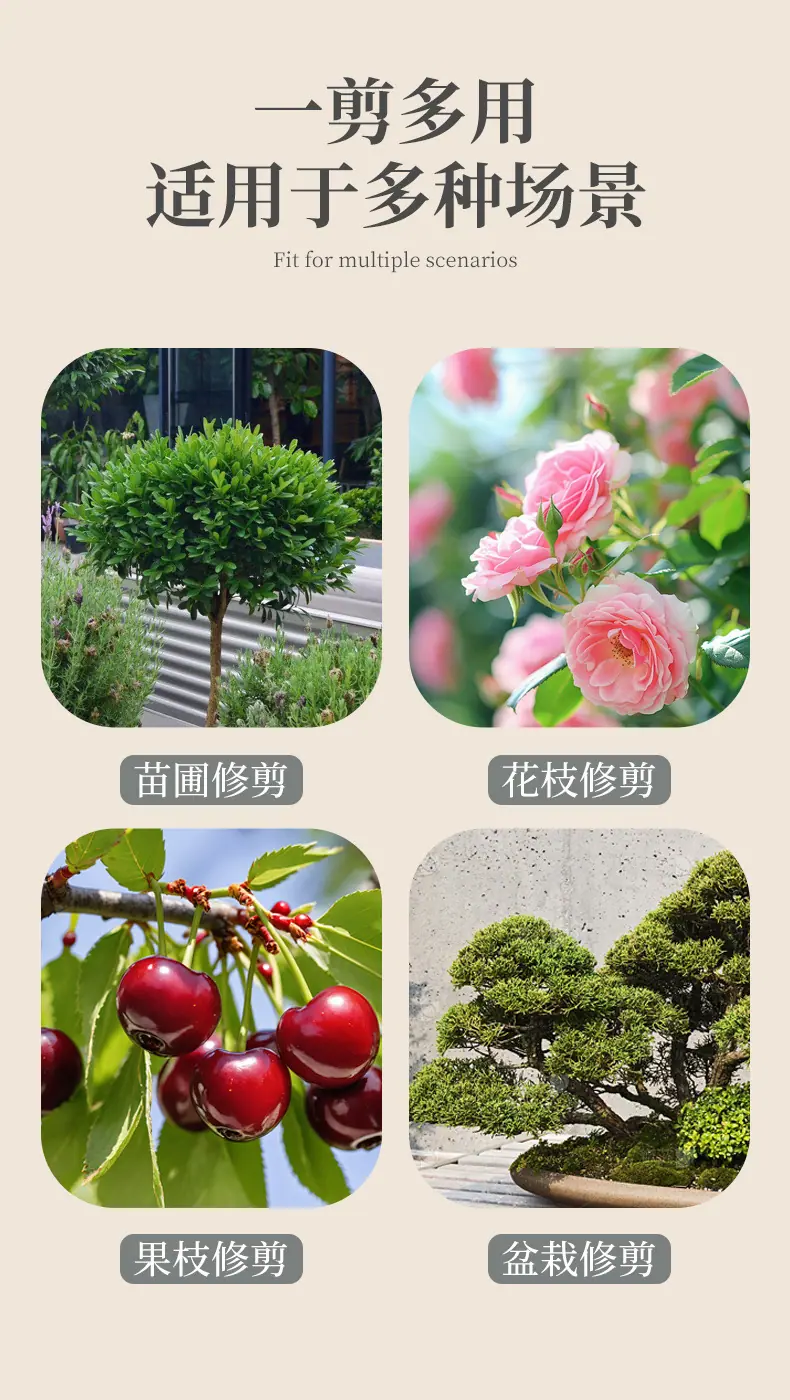 花艺剪_02.jpg