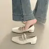 Zapatos Mary Jane Cuadrados Retro Franceses para Mujer 2026 Otoño Nuevos Tacones Altos con Falda Zapatos Pequeños de Cuero Zapatos de Correa Única con Hebilla