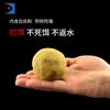 Xiaohai isca ouro crucian 300g