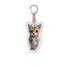 Llavero Acrílico Gato Banana Feliz Gato Feliz Transfronterizo Cabeza de Gato Comida Expresión de Gato Llavero para Bolsa Divertido