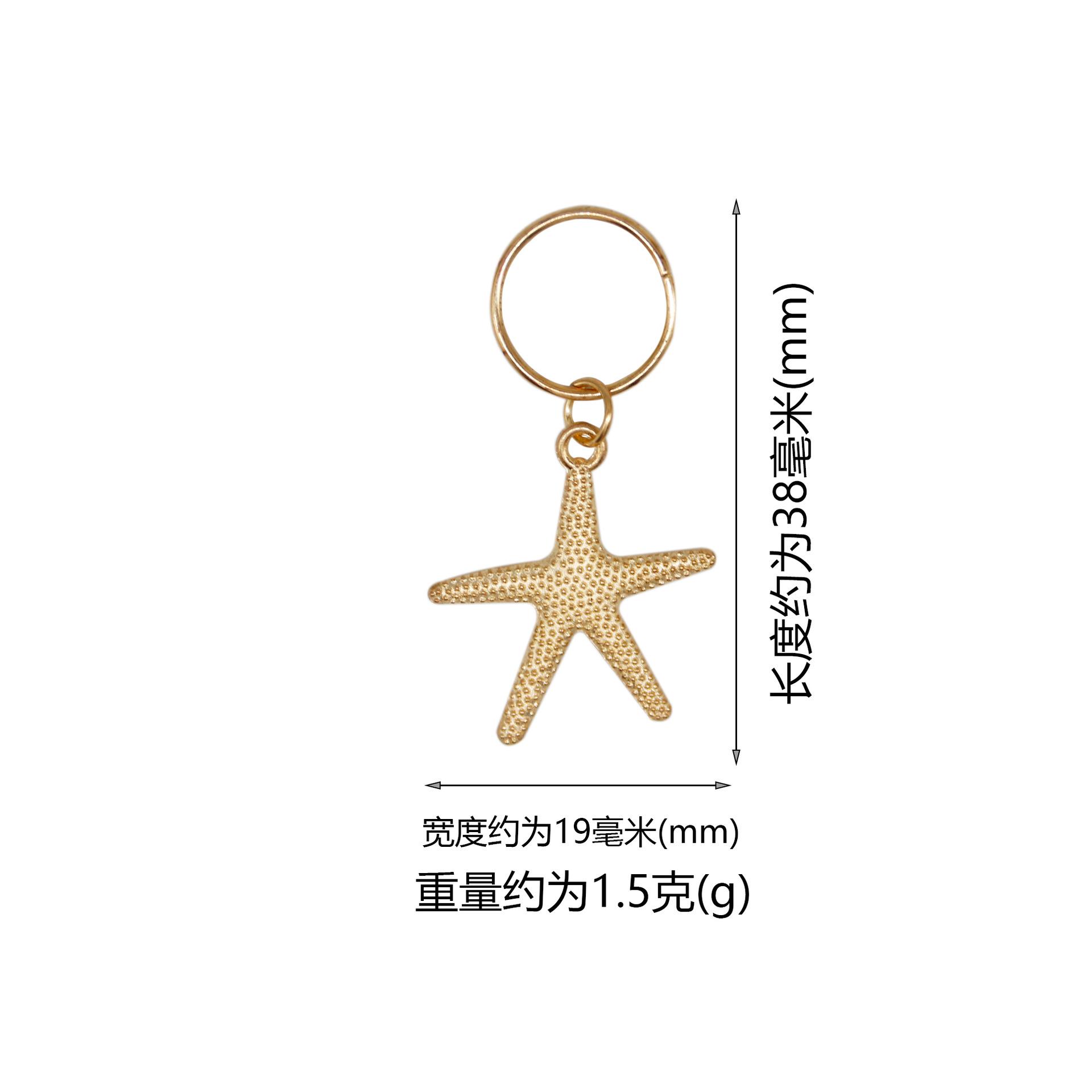 海星+圈尺寸重量图