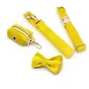 Conjunto Especial de Coleira e Guia de Veludo Cisne para Cachorro Suporte para Saquinhos de Cocô para Cães Pequenos e Médios