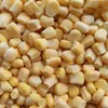 Calidad de Exportación, Exclusivamente para Europa y América, Granos de Maíz Dulce Congelados Rápidamente, Pedido Mínimo 1 Tonelada, Directamente del Fabricante de Origen, para Uso Comercial en Arroces, Tamales y Ensaladas