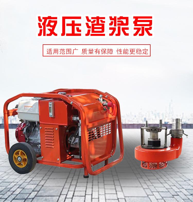 液压渣浆泵详情_01.jpg