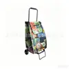 Carrito de compras plegable, portátil, para escalada, para el hogar, para personas mayores, ligero, pequeño, remolque