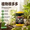 Solução Enraizadora Universal para Plantas Agente Enraizador Rápido Suculentas Árvore da Fortuna Flores Estacas Mudas Fortes Saudáveis Atacado