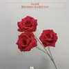 Rosa de Simulación Día de San Valentín Propuesta Pared de Rosas Decoración Tallo Único Decoración Transfronteriza Escena de Flores de Simulación Arreglo Flor Artificial