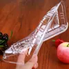 Bandejas Descartáveis Kanglida para Alimentos, Frutas e Verduras Frescas, Embalagem Transparente Colorida de Grau Alimentício