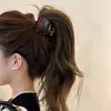 Herramienta para Fijar Cola de Caballo Alta Pinza para el Cabello para Mujeres, Pinza de Tiburón de Gama Alta Nuevo Estilo 2026, Pasador para la Parte Posterior de la Cabeza Accesorio para el Cabello