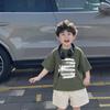 Conjunto de Camisetas de Verano para Niños Ropa de Verano Infantil Camiseta Fresca de Manga Corta Pantalones Cortos Conjunto de Dos Piezas Estilo Ins