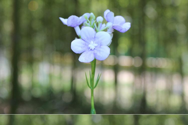 125-花草_07.jpg