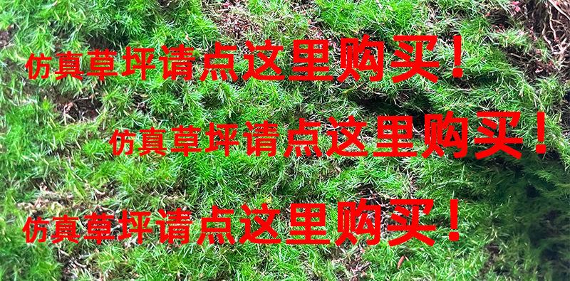 买