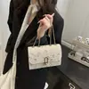 Tejido de Paja Encaje Personalizado 2026 Nueva Moda Tendencia Cadena Popular Verano Nueva Cadena Hombro Cruzado Pequeña Cuadrada