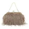 Bolsos Transfronterizos Nuevo Estilo Coreano Borla Gama Alta Pluma de Pavo Nicho Bolso Cruzado con Cadena de Perlas Versátil para Otoño e Invierno Felpa