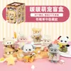 Nueva Caja Ciega de Peluche Cálida y Linda Juguete de Moda Figura Adorno Decorativo Lindo Pequeño Regalo de Cumpleaños Al por Mayor