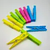 Venta Directa de Fábrica 8.2cm diseño simple color mixto plástico pinza para secar ropa