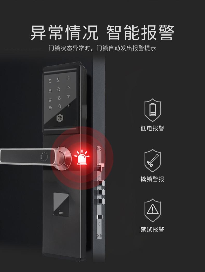 未标题-001_11.jpg
