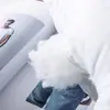Núcleo de almohada Regina de algodón puro Almohada de hotel Núcleo de almohada de fibra para adultos Núcleo de almohada cuadrado completo