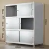 Estante de Almacenamiento de Acero Inoxidable con Puerta, Gabinete Estante de Piso para Microondas de Cocina, Gabinete de Almacenamiento para el Hogar con Panel Trasero, Multicapa