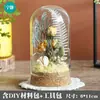 Materiales para Manualidades de Flores Preservadas Flores Secas Adornos de Cúpula de Cristal Actividad de Arreglo Floral Hecho a Mano para Padres e Hijos Regalos de Temporada de Graduación Adornos Colgantes