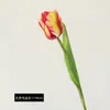 Buquê de flor de tulipa-papagaio artificial de haste única para decoração de cena, tulipa de alta qualidade para uso em casamento, flores artificiais