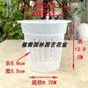 Vaso Transparente Oco para Orquídea Gota de Chuva Vaso para Phalaenopsis Material Novo de Alta Qualidade Trans
