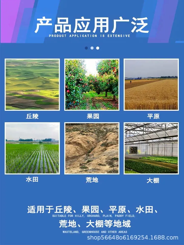 详情6